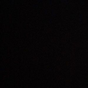 Meet your Posher, Lily